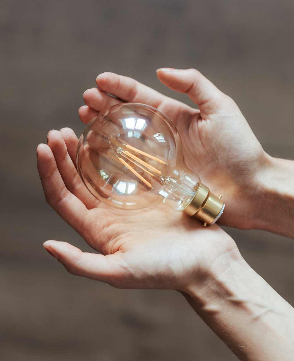Hands Holding Light Bulb Hands Holding Light Bulb